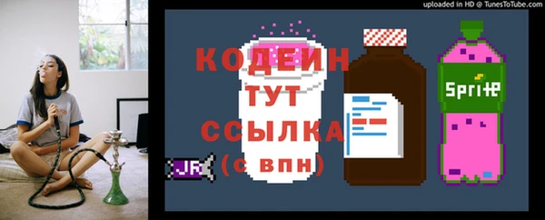 мдпв Богданович