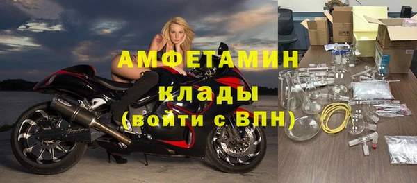 мдпв Богданович
