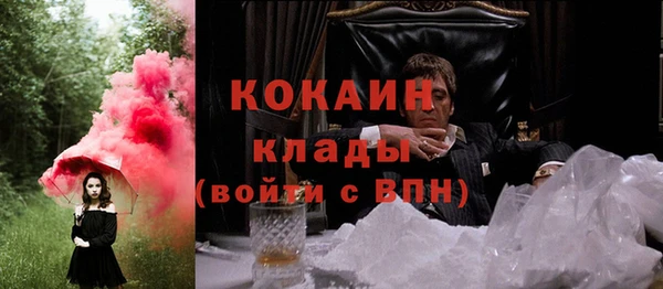 мдпв Богданович